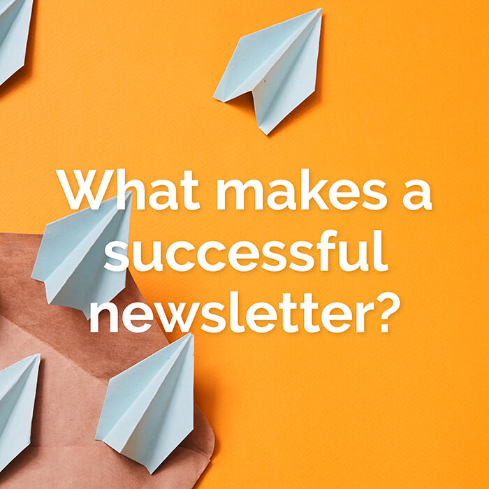 sidedoor-collective-what-makes-a-successful-newsletter-700