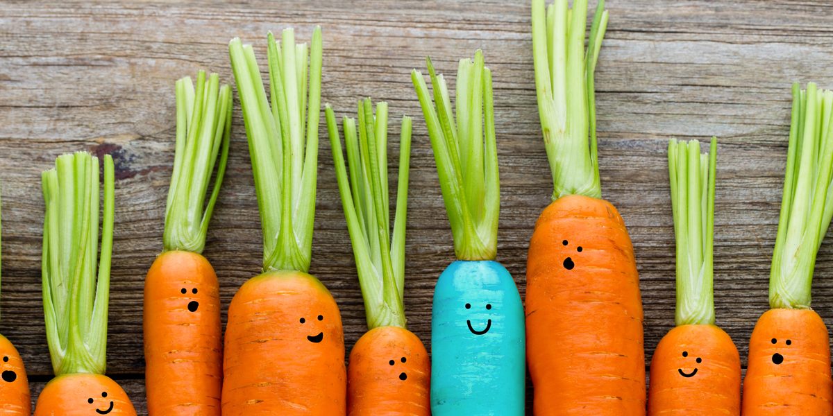 Sidedoor-Collective-7-crucial-tips-to-a-successful-tradeshow-display