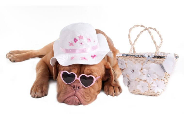 Sidedoor-Collective-When-do-you-know-its-time-to-refresh-your-brand