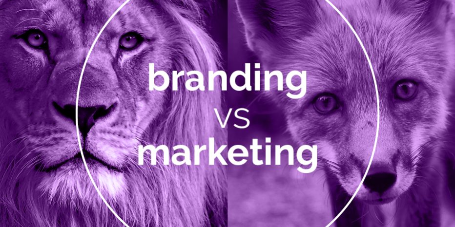 Collective GIF NOV 2025 6