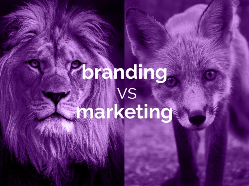 Collective GIF NOV 20255 Collective GIF NOV 20255